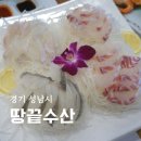 땅끝 | 서현맛집 땅끝수산 땅끝스페셜A 정식 후기
