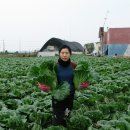 진가농장 이미지