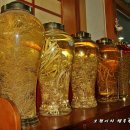 1500년 인삼재배의 전통이 내려오는 인삼의 고장 금산의 보양식 금산맛집 원조삼계탕 이미지