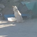 태영유통 이미지