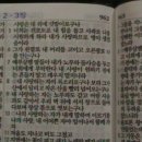 하나피부샾