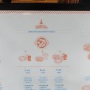 사이드쇼월드몰점