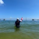 롯데리아 부산비프광장점 | [일기] 부산 광안리 먹방 여행 맛집 기록 - 2025.09