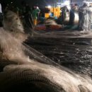 대한할인마트 이미지