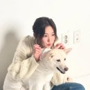 나의 강아지에게 이미지