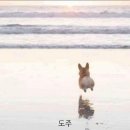 멘야마쯔리루원시티점