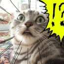 속천주차장 이미지