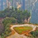 테라스풍경 이미지