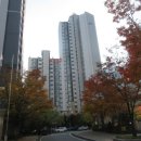 늘참조은약국 이미지