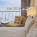 신관중학교 | 부산 해운대 호텔 파라다이스 호텔 구관 신관 특가 씨메르 가격 할인