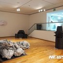 손경화