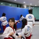 고려용호태권도 이미지