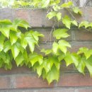 서곶그린공원 이미지