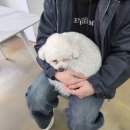 프로네앞마당 이미지