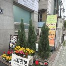 송도 브런치 가성비 파스타 더 일레븐 후기