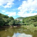 구덕야영장 | 부산 숲속 자연캠핑장 구덕야영장 취사가능 캠크닉 후기