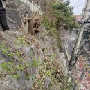 전봇대 옆 이미지