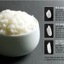 미국산 칼로스 쌀 ‘밥맛의 진실’ 이미지