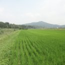 지평농장 이미지