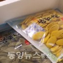 대통령우렁이