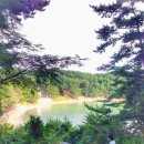 (주)파인비치 이미지