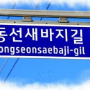 새바지길 이미지