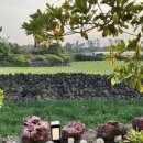 쉬엉갑서예 이미지