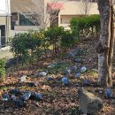 아라제2근린공원 이미지