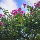 만수2동-14 이미지