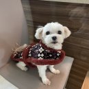 광주미싱 이미지