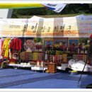 최영장군 위령굿 Daum카페