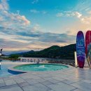 무아레도그라운드 이미지