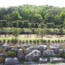 차원목장 이미지