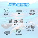 [여행] 아이유, 박효신 그리고 팀 마크237_원클릭(보홀)
