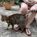 지구약국 이미지