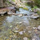 대명노르웨이숲 이미지