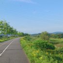 국토종주자전거길1-8 이미지