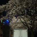 사람에 나는 상처입고 사랑에 나는 울어요