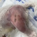 프라임 동물병원 앞 이미지