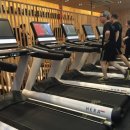 휘트니스트렌드 이미지