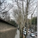 Re:궁담[혹 이 담벽락도 거기? ㅎㅎㅎ 이미지