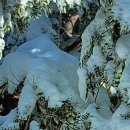 한라산풍경 이미지