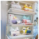 노블랜드 세탁 이미지