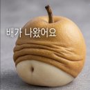 웁스 이미지