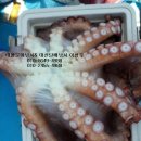 속초해변펜션 이미지