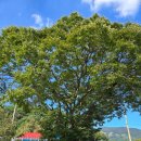 비암2리마을회관 이미지