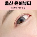 호계4공원옆L | [울산] 속눈썹펌 잘하는 곳 온어뷰티