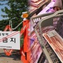 그린베셀 네이버블로그
