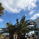 초원게스트 | 우도게스트하우스 조용하고 편안하게 지낼수 있는 곳 초원게스트하우스