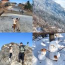 승일카 | 무주 덕유산 곤도라 예약 방법 필수 준비물 대기 없이 케이블카 탄 후기